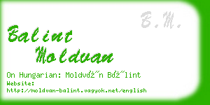 balint moldvan business card